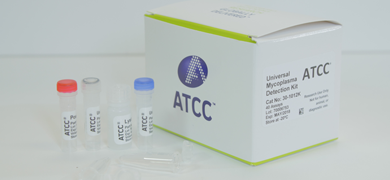 Small, capped, labeled vials next to white box with ATCC printed on the side and labeled "Universal Mycoplasma Detection Kit, 30-1012K."