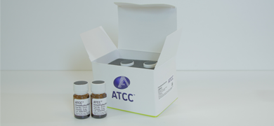Two capped bottles, labeled ATCC Dimethylsulfoxide DMSO, next to open white box with ATCC printed on the side, foam packaging and two bottles inside box.