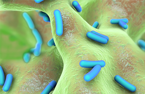 Green and blue rod shaped bacteria.