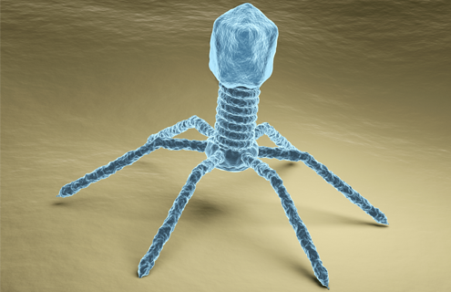 Six luminescent blue spider-like legs of a bacteriophage on a beige surface.
