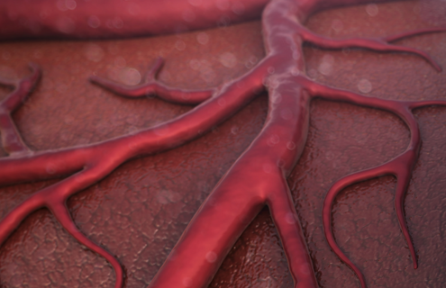 Closeup of thick red blood vessels.