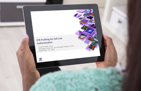 Woman's hands with pink nail polish holding a laptop with the ATCC logo and the title STR Profiling for Cell Line Authentication.