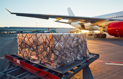 Boxes wrapped in plastic, covered in netting on a pallet near a plane at an outside airport.