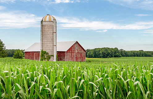 A faded-red barn and silo surrounded by a green field, bushes and a corn field under a blue, cloudy sky.