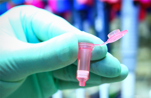 Gloved hand holding small, plastic, pink vial with flip-top lid open.