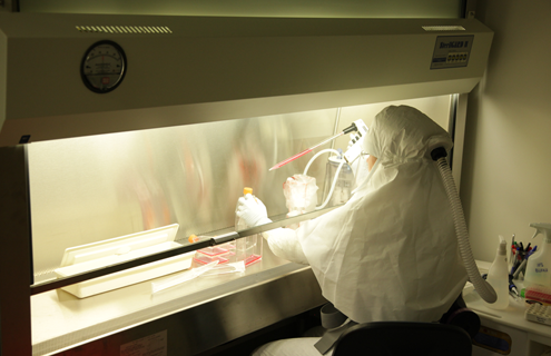 ATCC scientist in biosafety level suit with respirator working at biosafety cabinet.