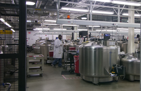 ATCC scientist in large room full of cryopreservation tanks at biorepository.