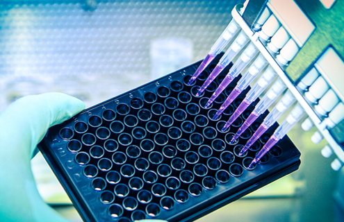 Machine holding multiple pipettes containing clear purple media over well plate, gloved hand holding the plate.