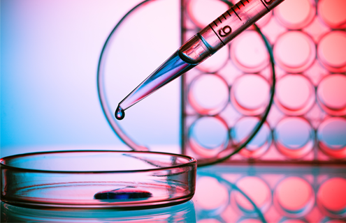 Pipette dropping clear media into cells well plate; 24 well plate in background.