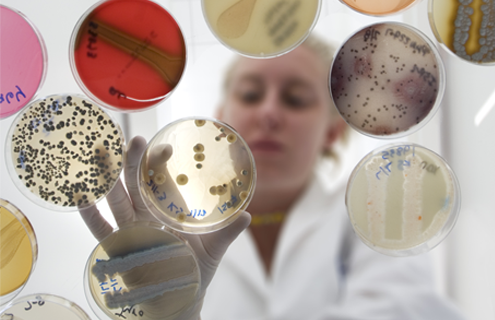 Underside view of scientist reaching down with gloved hand to petri dishes containing various types and colors of media.