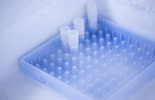 Vials in blue tray in liquid nitrogen, surrounded by vapor.