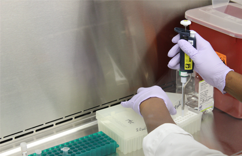 Gloved hands under a hood, filling vials with pipette, near clear bottle of saline, and red box with hazardous waste sharps container sticker.