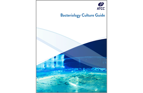 Bacteriology Culture Guide