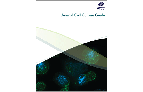 Animal Cell Culture Guide