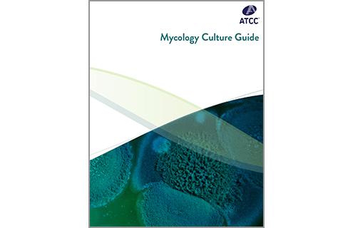 Mycology Culture Guide