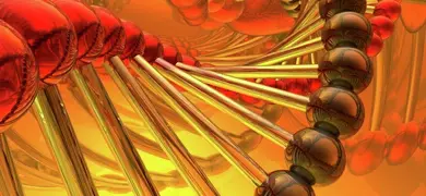 A 3D rendering of intertwined DNA double helix structures in shades of red and gold, set against a glowing yellow background, illustrating genetic material in an abstract style.