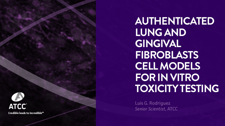 Authenticated Lung and Gingival Fibroblasts Cell Models for In Vitro Toxicity Testing