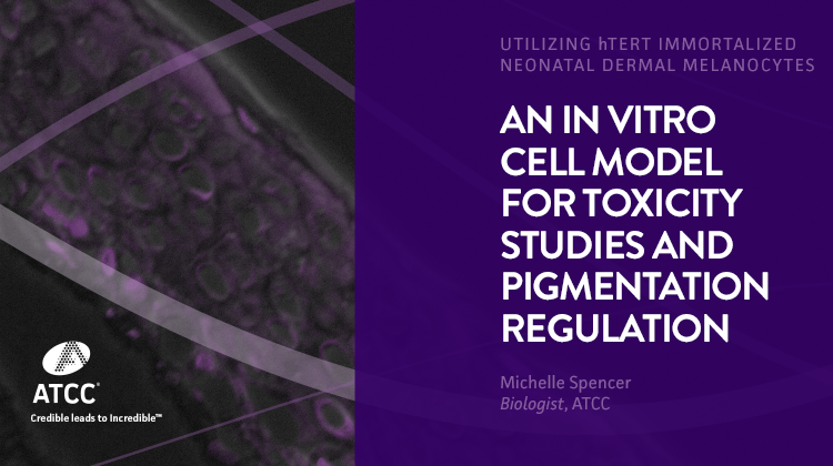An In Vitro Cell Model for Toxicity Studies and Pigmentation Regulation