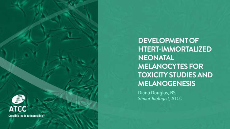 Development of hTERT-immortalized Neonatal Melanocytes for Toxicity Studies and Melanogenesis Regulation