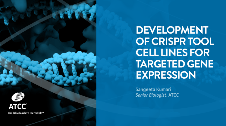 Development of CRISPR Tool Cell Lines for Targeted Gene Expression Study