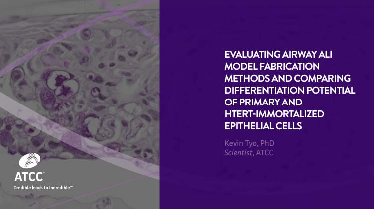 Evaluating Airway ALI Model Fabrication Methods and Comparing Differentiation Potential of Primary and hTERT-immortalized Epithelial Cells