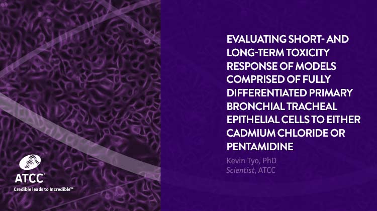 Evaluating Short- and Long-Term Toxicity Response of Models Comprised of Fully Differentiated Primary Bronchial Tracheal Epithelial Cells to Either Cadmium Chloride or Pentamidine