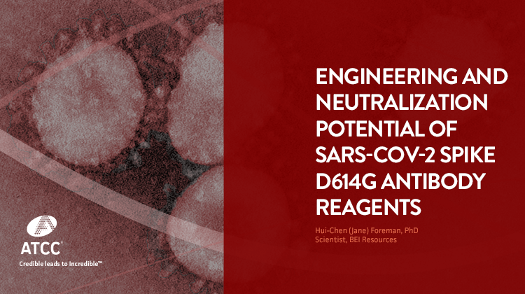 Engineering and Neutralization Potential of SARS-CoV-2 Spike D614G Antibody Reagents