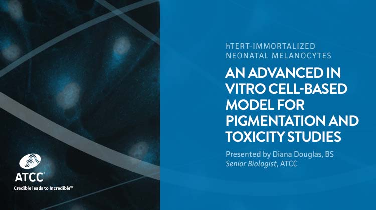 hTERT-Immortalized Neonatal Melanocytes - An Advanced Cell-based Model for Pigmentation and Toxicity Studies