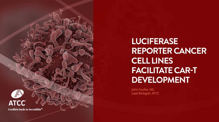 Luciferase reporter cancer cell lines facilitate CAR-T development