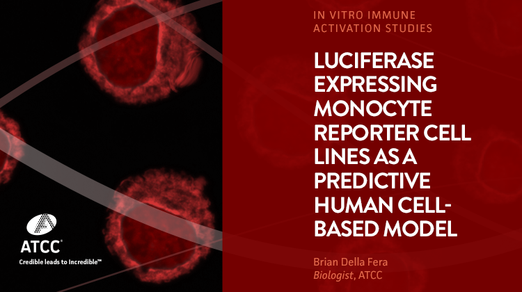 Luciferase expressing Monocyte Reporter Cell Lines as a Predictive Human Cell-based Model