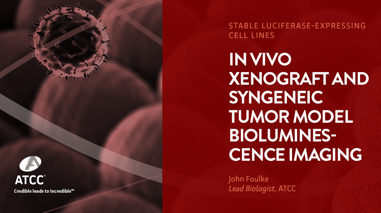 In Vivo Xenograft and Syngeneic Tumor Model Bioluminescence Imaging
