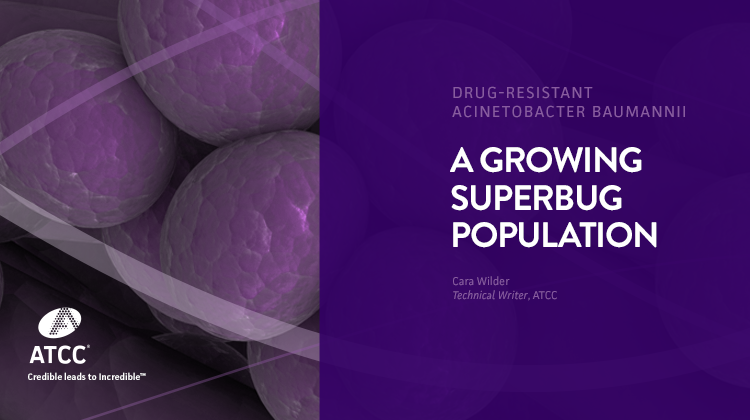 A Growing Superbug Population webinar overlay image