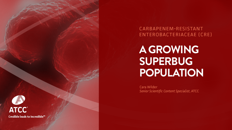A Growing Superbug Population  web overlay image