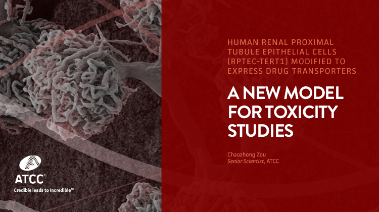 A New Model for Drug Toxicity Studies webinar overlay image