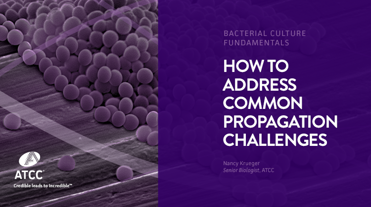 How to Address Common Propagation Challenges Bacterial Culture Fundamentals webinar overlay image