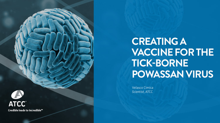 Creating a Vaccine for the Tick-borne Powassan Virus