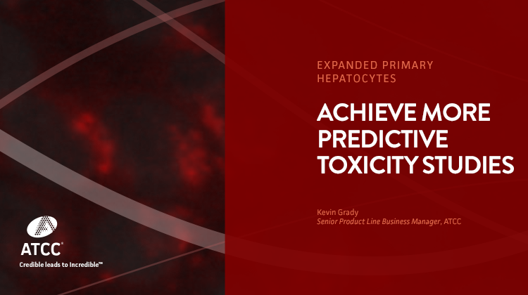 Achieve More Predictive Toxicity Studies Expanded Primary Hepatocytes webinar overlay image