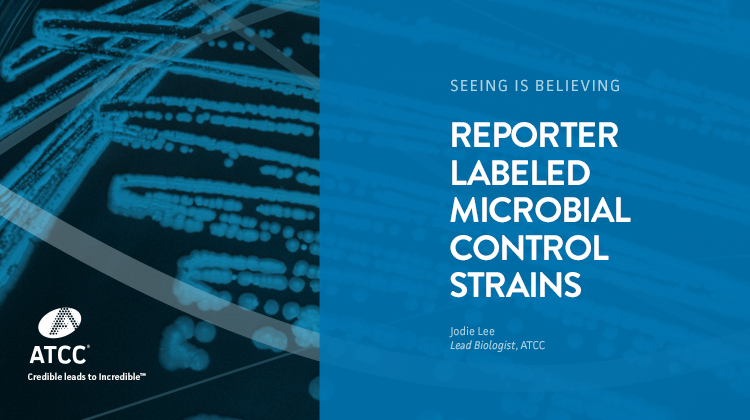 Seeing is Believing Reporter Labeled Microbial Control Strains webinar overlay image