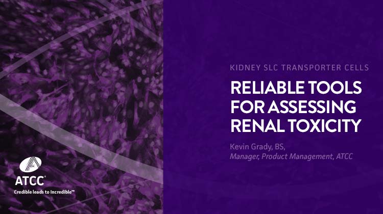Reliable Tools for Assessing Renal Toxicity Webinar Overlay