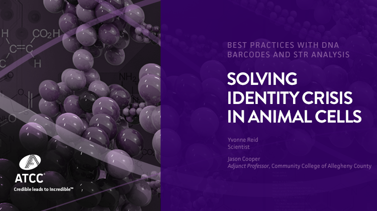 Best Practices with DNA Barcodes and STR Analysis Solving Identity Crisis in Animal Cells webinar overlay image