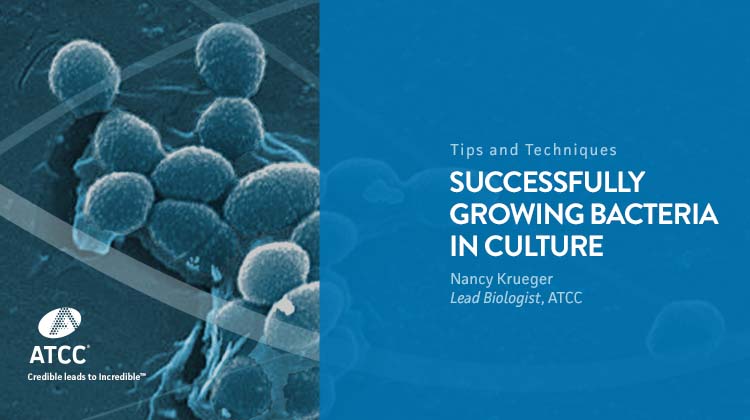 Successfully Growing Bacteria in Culture Webinar Overlay