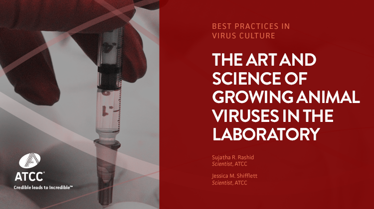 The Art and Science of Growing Animal Viruses in the Laboratory webinar overlay image