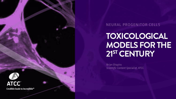 Neural Progenitor Cells Toxicological Models for the 21st Century webinar overlay image