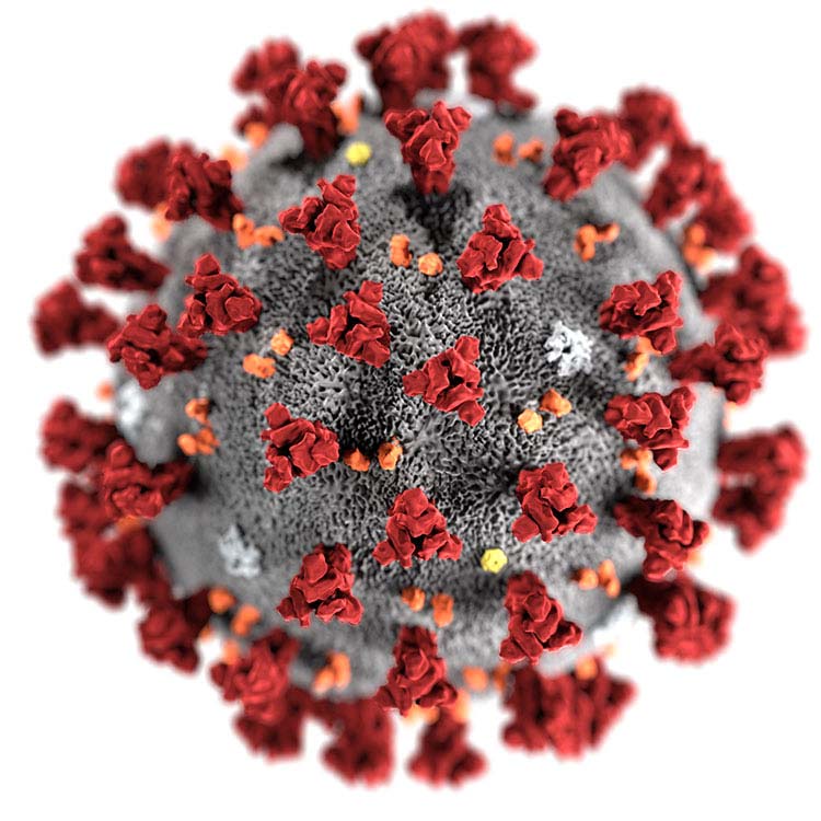 Gray coronavirus sphere with red and orange protruding particles.
