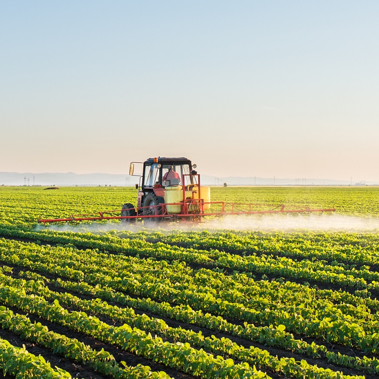 Tractor and crops