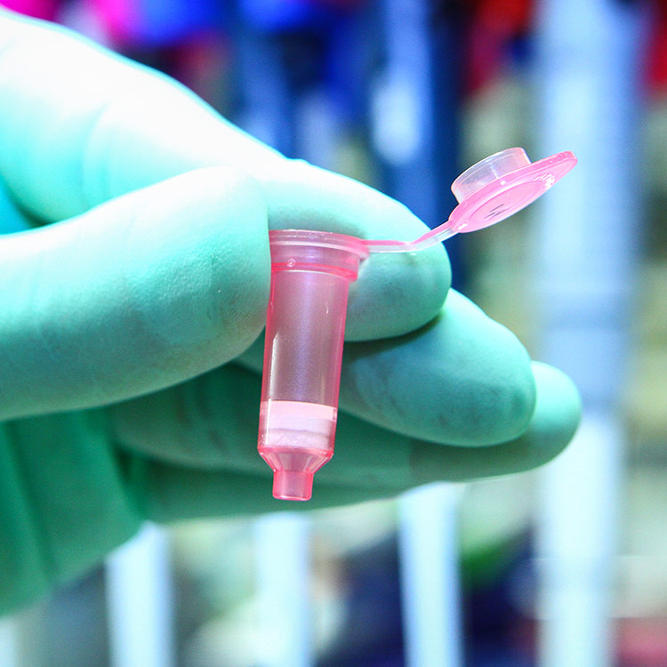 Gloved hand holding small, plastic, pink vial with flip-top lid open.