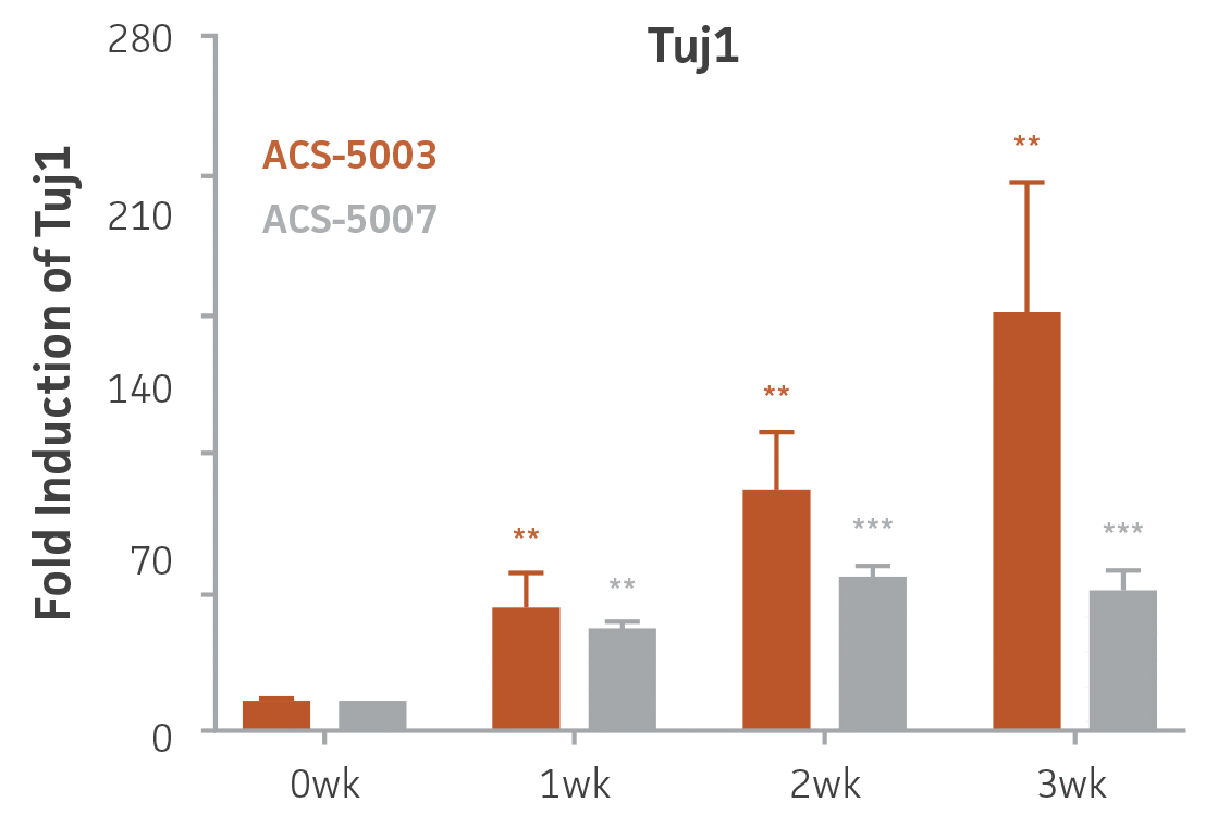 Bar chart labeled Fold Induction of Tuj1