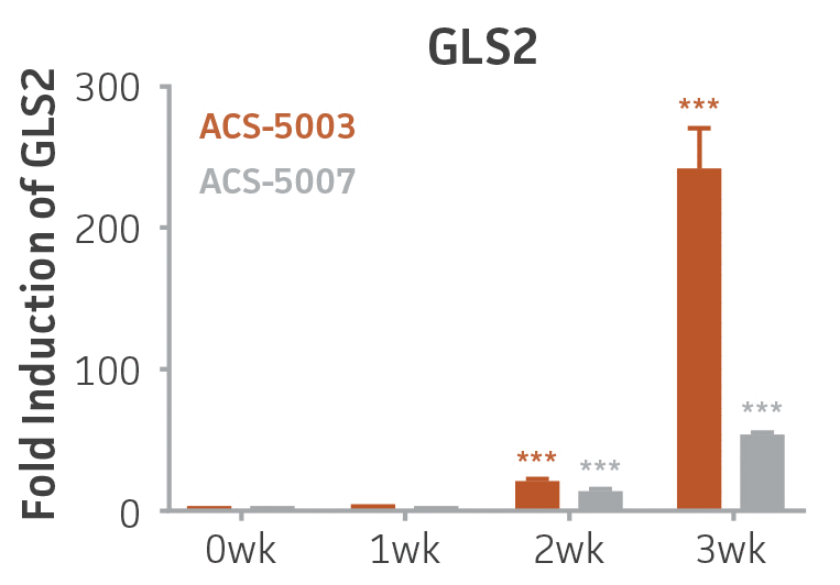 Bar chart labeled Fold Induction of GLS2