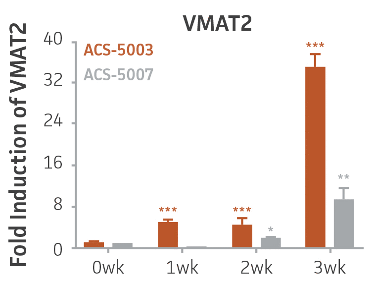 Bar chart labeled Fold Induction of VMAT2
