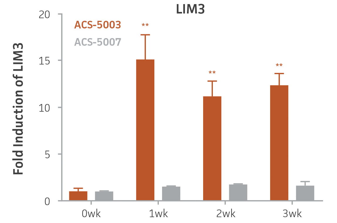 Bar chart labeled Fold Induction of LIM3